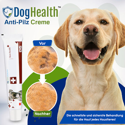 Erhalten 3 Packungen DogHealth™ Anti-Pilz Creme mit 70% Rabatt!