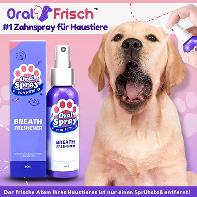 Erhalten Sie 3 stück OralFrisch™ #1 Zahnspray für Haustiere mit 70% Rabatt!