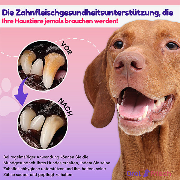OralFrisch™ #1 Zahnspray für Haustiere
