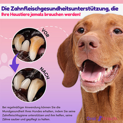 Erhalten Sie 3 stück OralFrisch™ #1 Zahnspray für Haustiere mit 70% Rabatt!