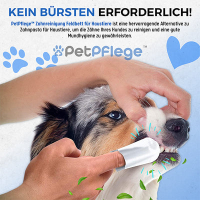 Erhalten Sie 60 Packungen PetPflege™ Zahnreinigung Feldbett für Haustiere für 70% Rabatt!