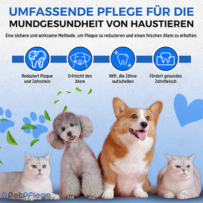 Wie wäre es mit nur 20 weiteren PetPflege™ Zahnreinigung Feldbett für Haustiere für NUR €9,99?